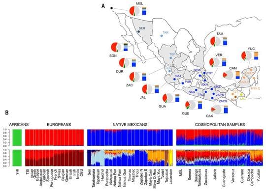 Admixture in Mayas and Cosmopolitan Hipsters